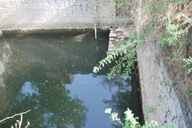 Adilshahi wells (9)