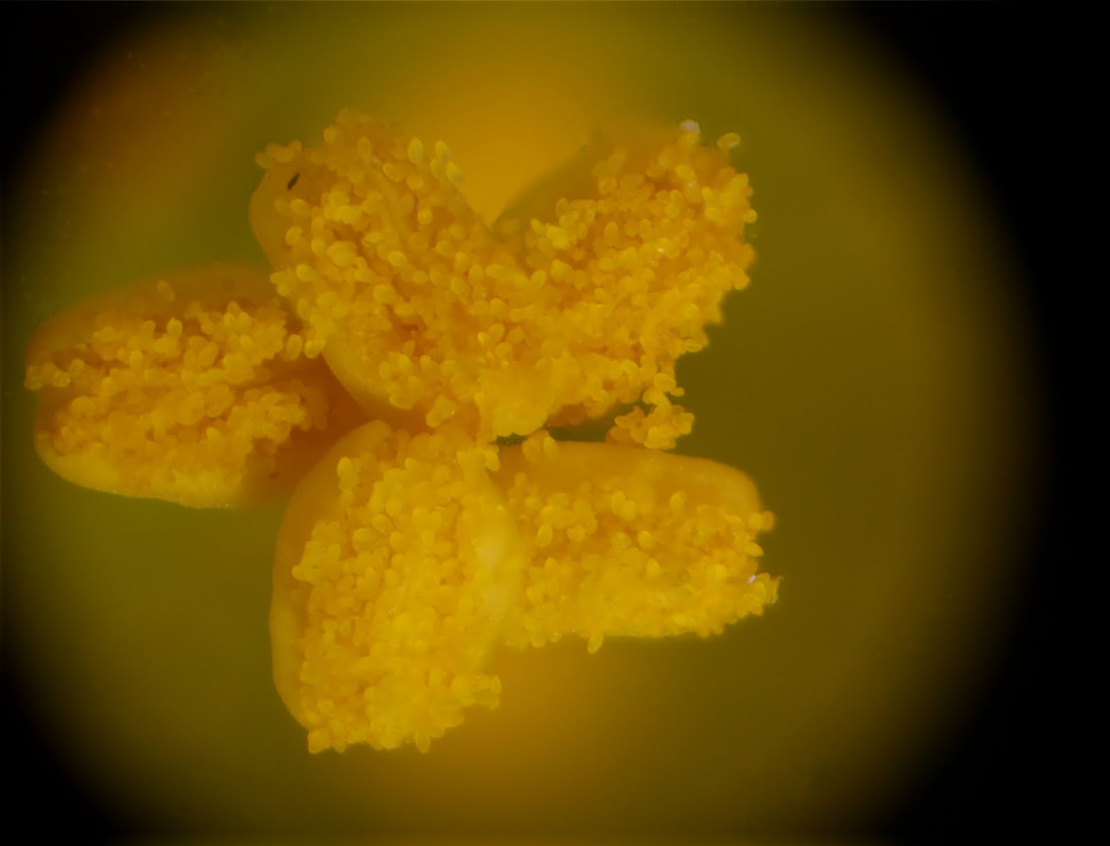 [New-Out99995_99994.jpg]