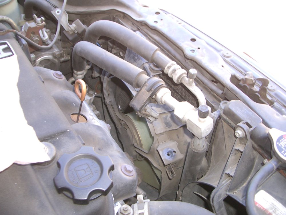 [shroud+almost+out.jpg]