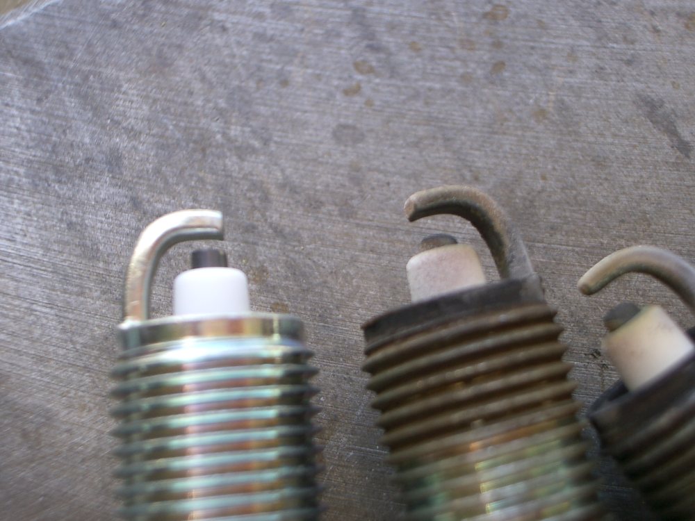 [ngk+spark+plugs.jpg]