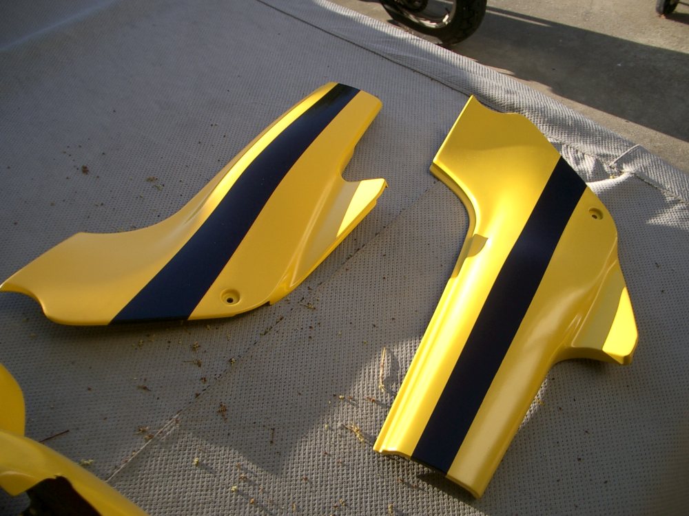 [with+black+stripes.jpg]