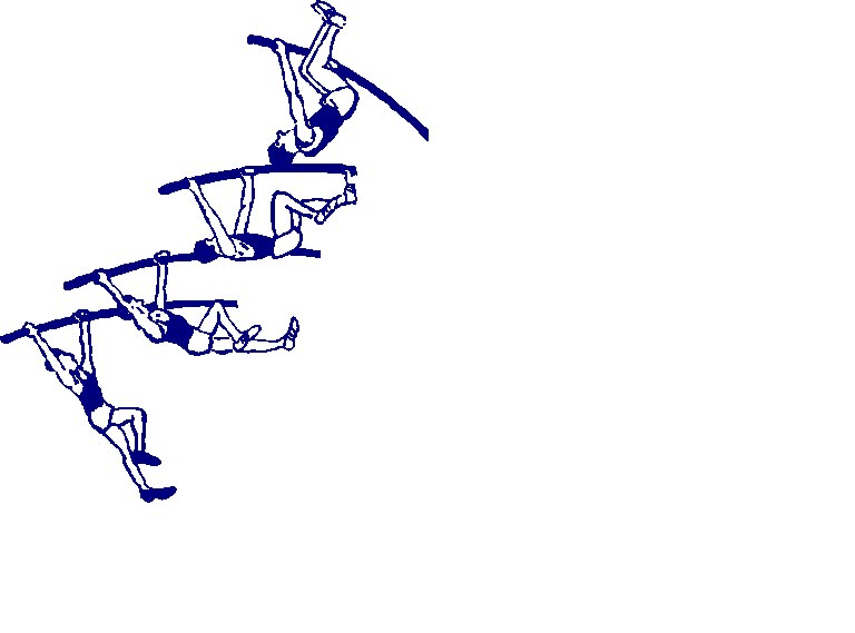 Pole Vault Illustrated Jerry Hock Mechanics of the Pole Vault