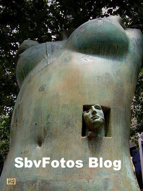 SbvFotosBlog