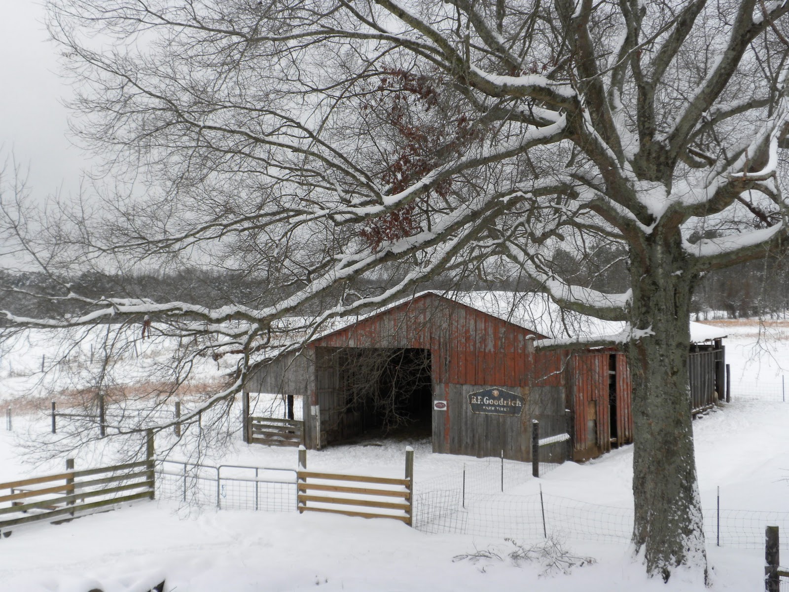 A Meek Perspective Alabama Snow