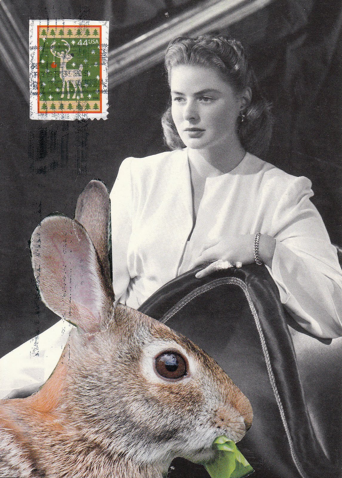 Little Red Mail Box: bunny bergman