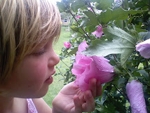 Sam's pix