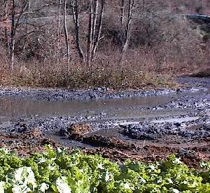 [coalsludge.jpg]