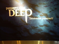 Passages of the Deep