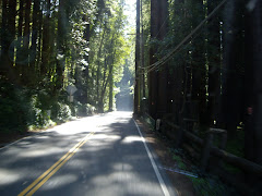 The trip back from Bodega Bay