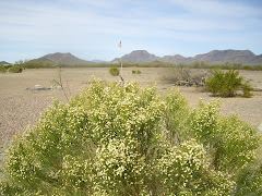 Hickiwan Trails