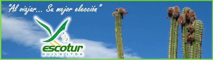 NUESTROS SERVICIOS 2009