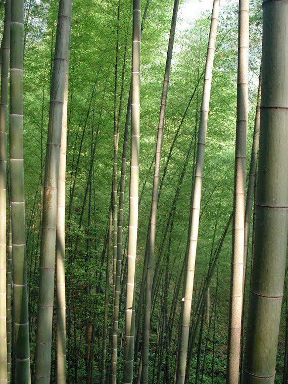 Top pics from China travels 2006-2007