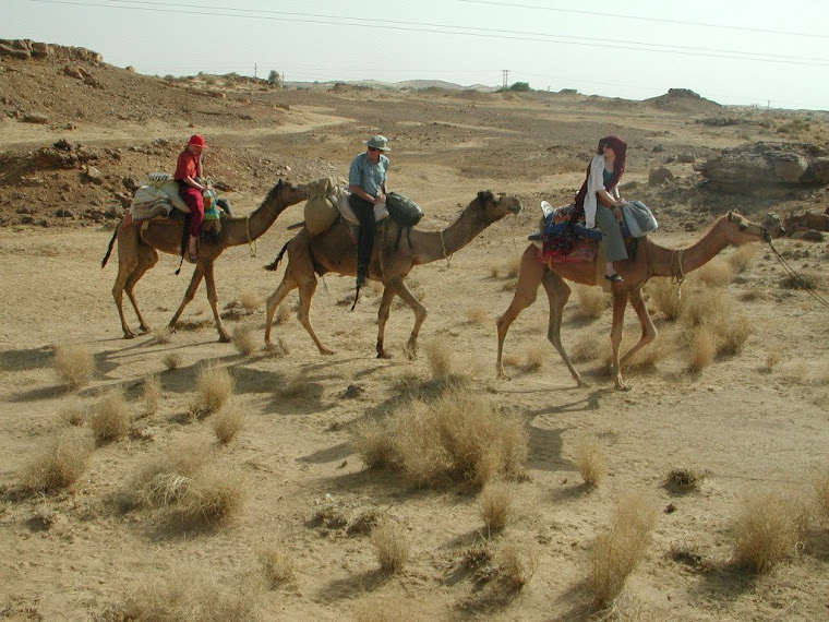 Top pics from India travels 2007-2008