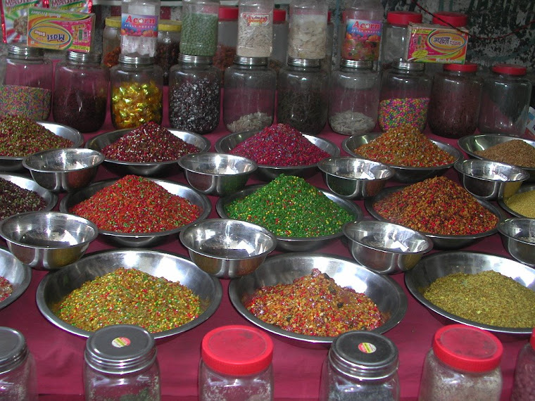 Top pics from India travels 2007-2008