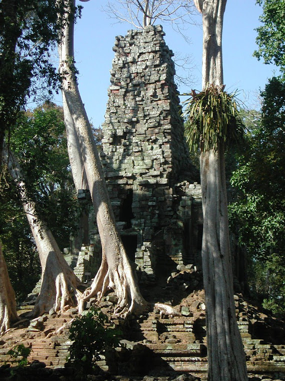 Top pics from Cambodia trip 2008