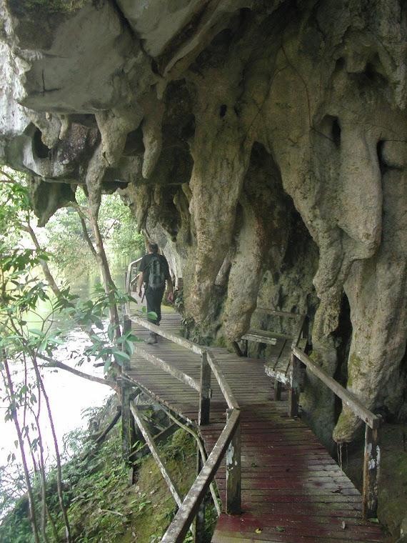 Top pics from Borneo trip 2008