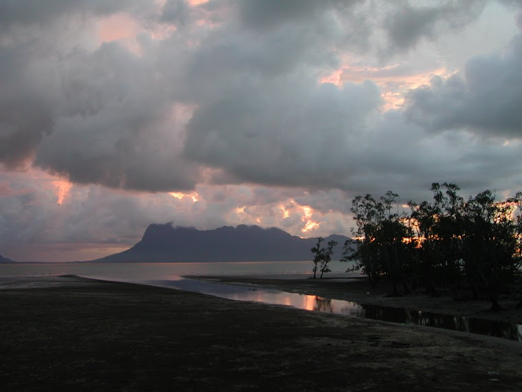 Top pics from Borneo trip 2008