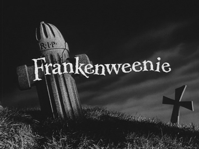 [frankenweenie.jpg]