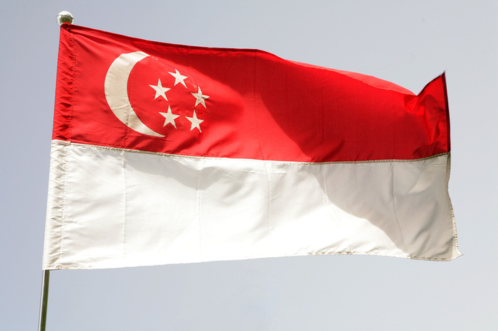 drapeau de singapour