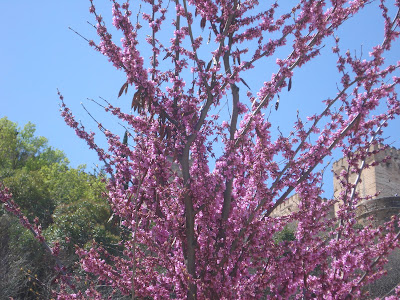 EL COSTURERO DE MATILDA: JUEGO DE TE Y COLORES DE PRIMAVERA