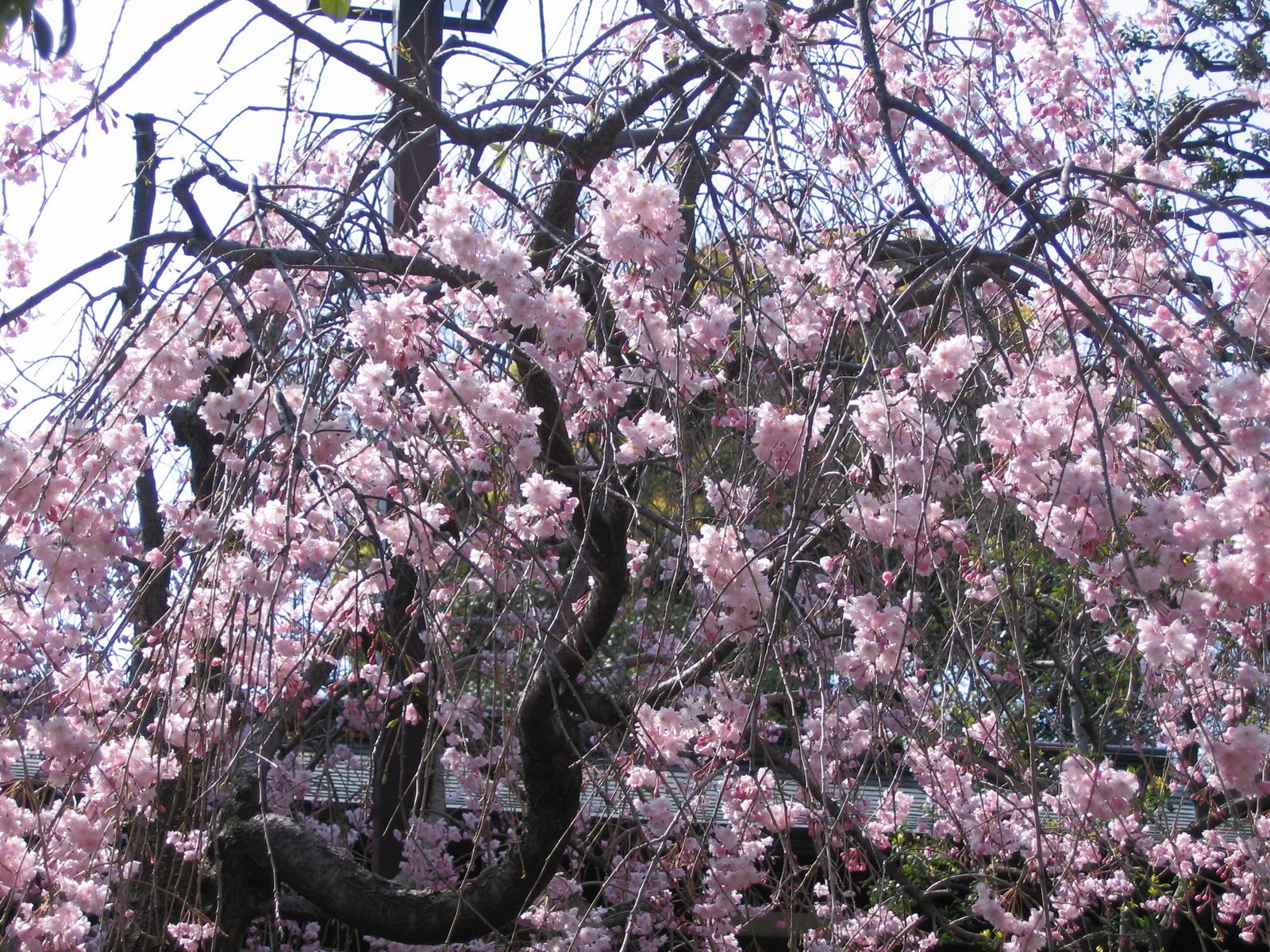 [April+1--7+005.jpg]