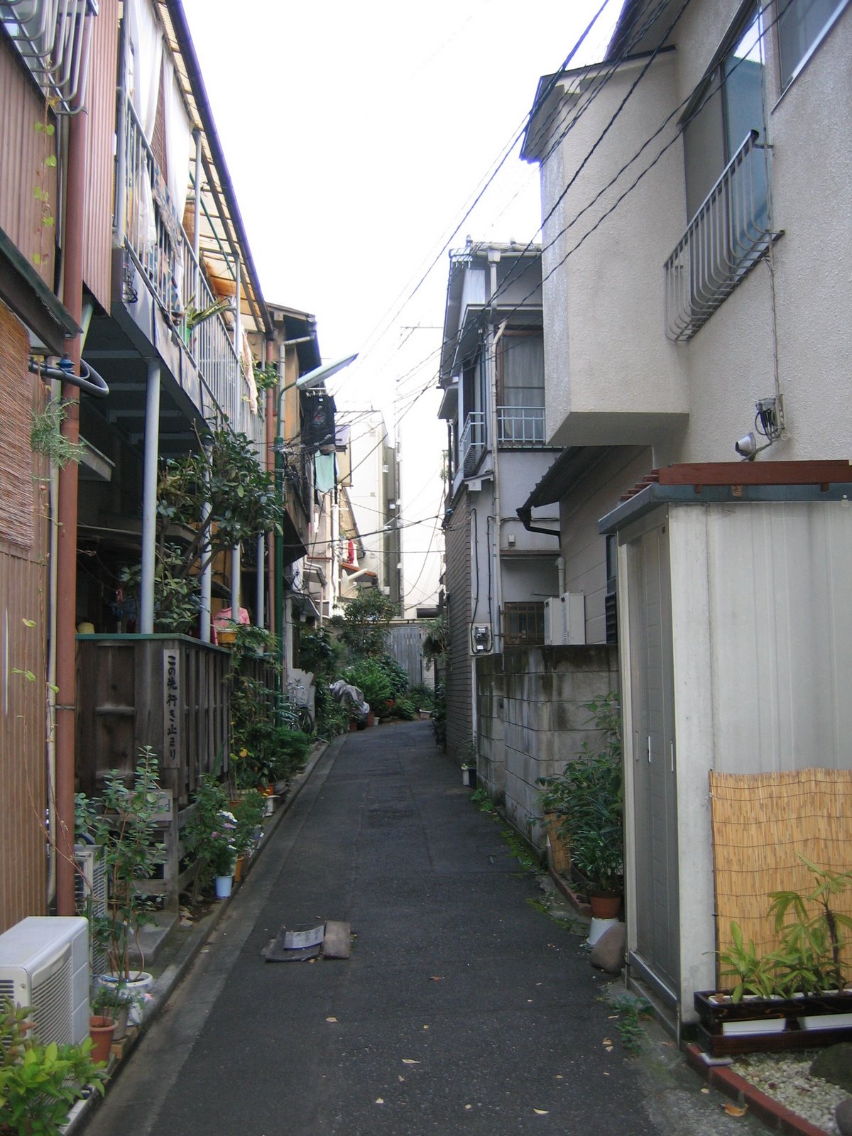 [Nov+3+(Sat)+033.jpg]