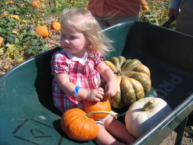 [Pumpkin+Patch,+10-18-08+030.jpg]