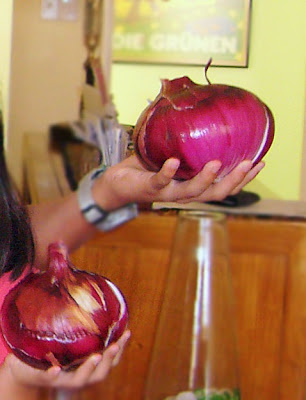 Caramelised Onion