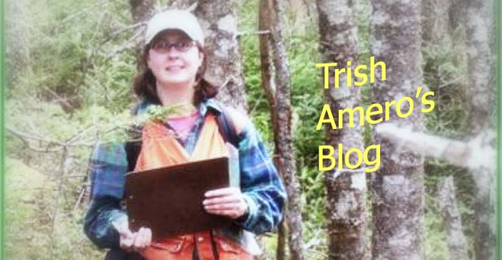 Trish Amero's Blog