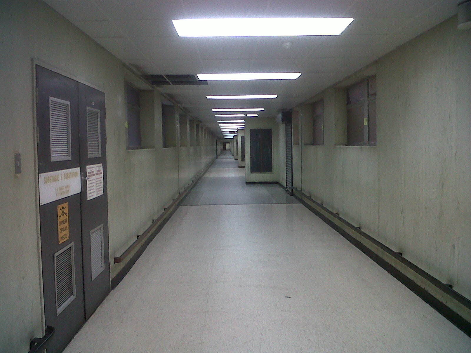 Hope for the flowers to my looney bin...