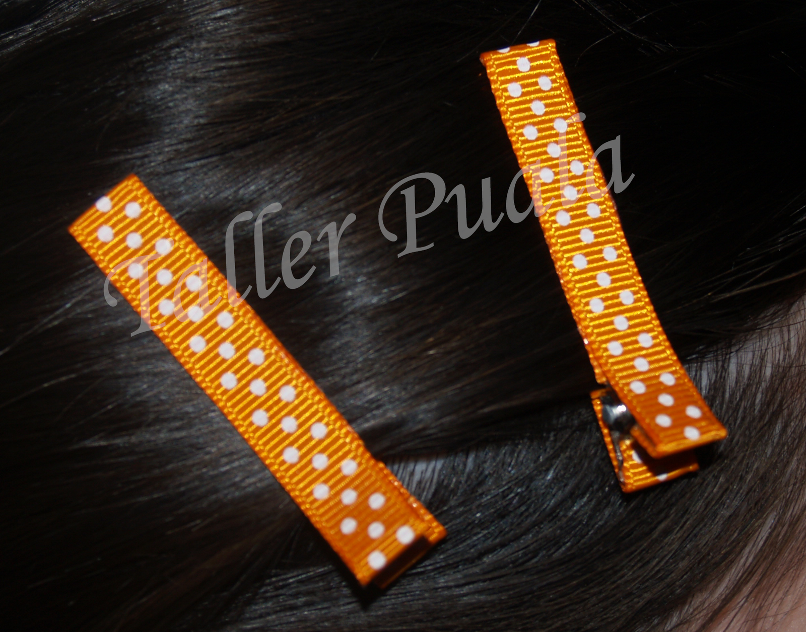 taller puala Pinzas para el pelo