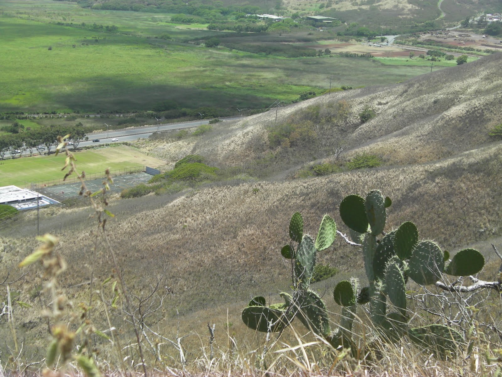 Blue, Green, and Everything in Between Hiking the Kalaheo Hillside