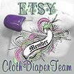 Visit the Etsy Cloth Diapers website!