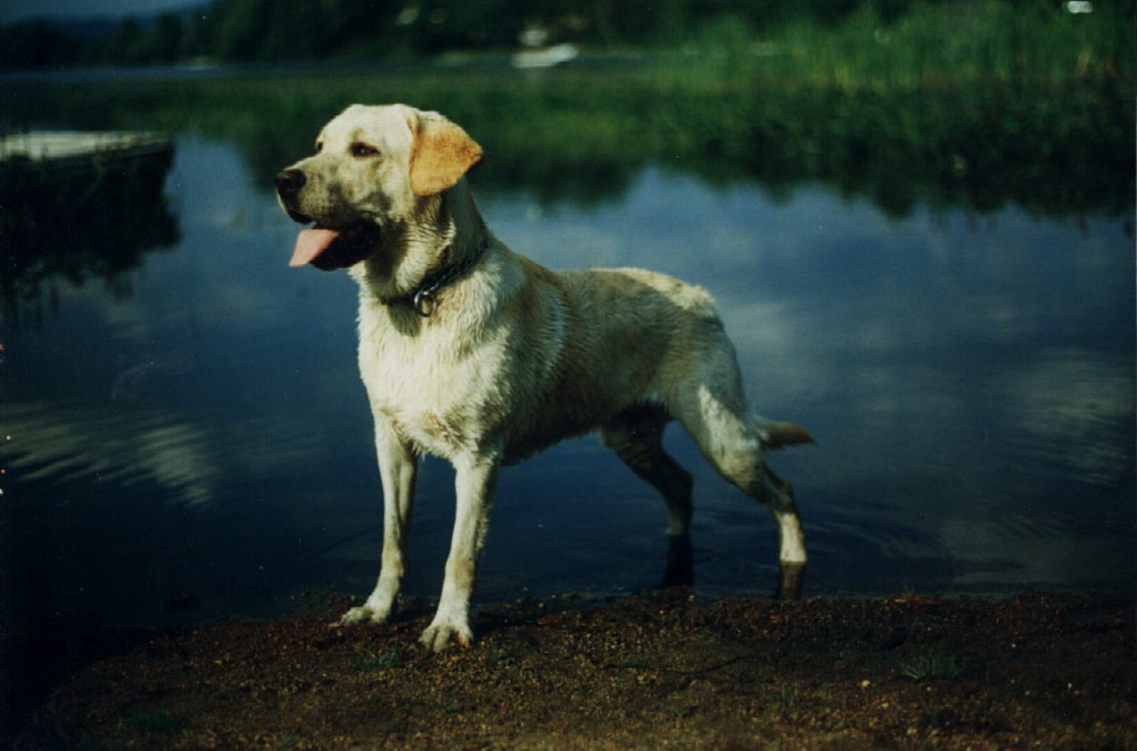 [Frezon,Peggy12.JPG]