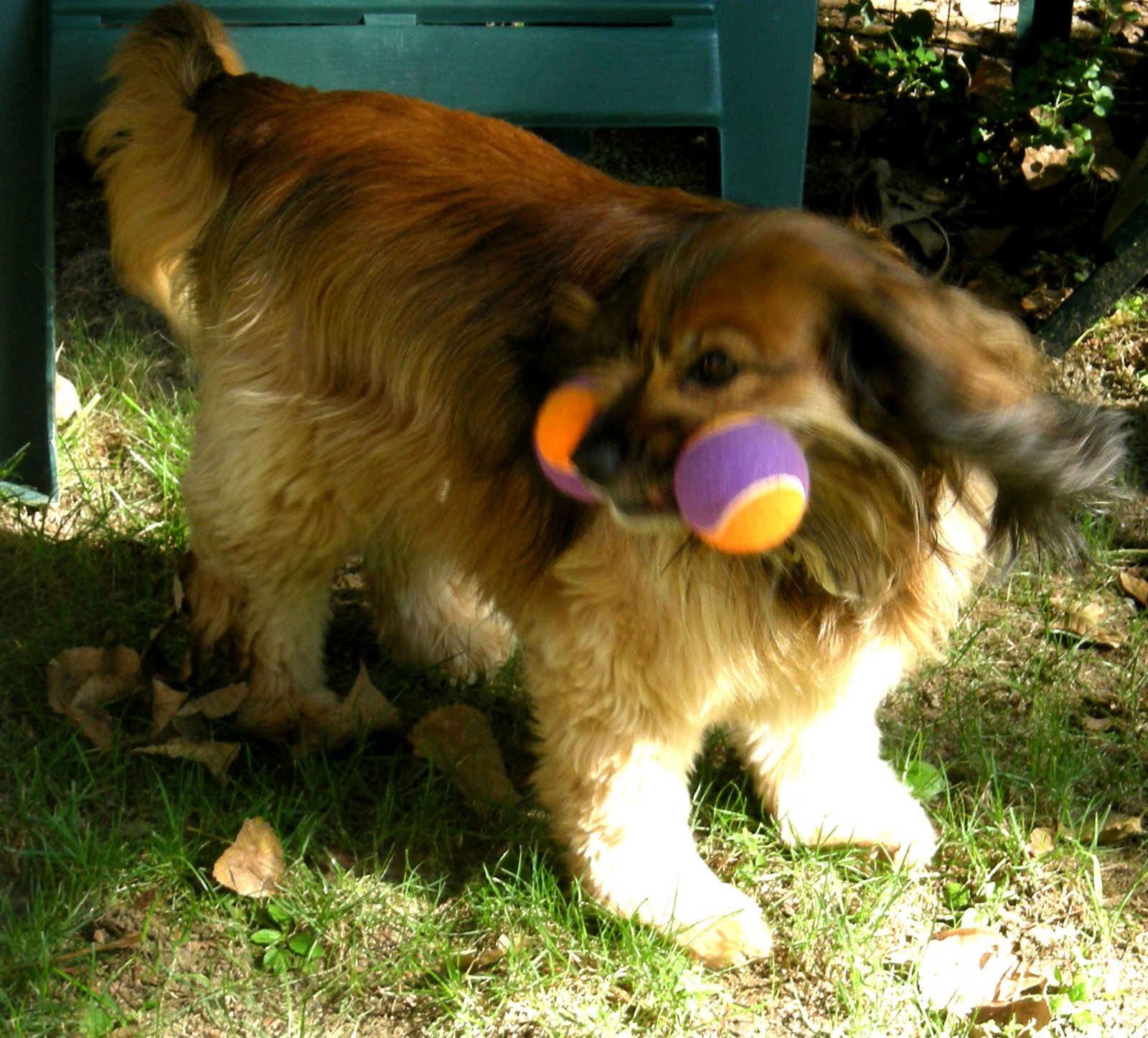[kelly+with+toy+2.jpg]