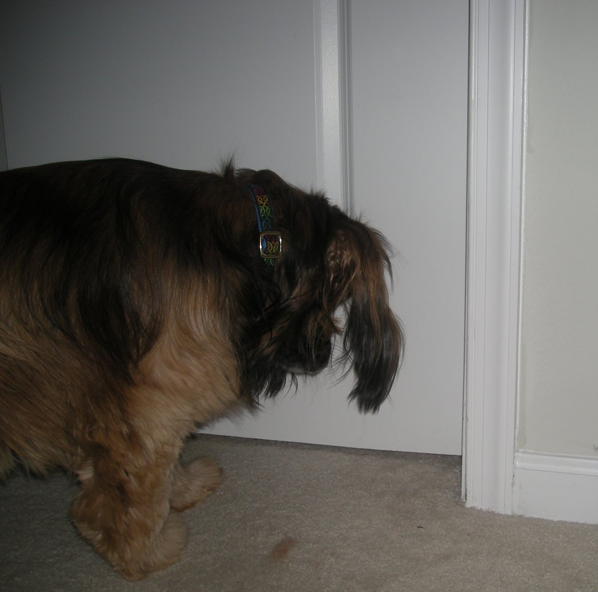 [kelly+and+the+door.jpg]