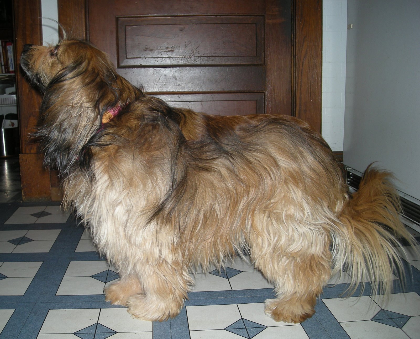 [kelly+before1+sm.jpg]