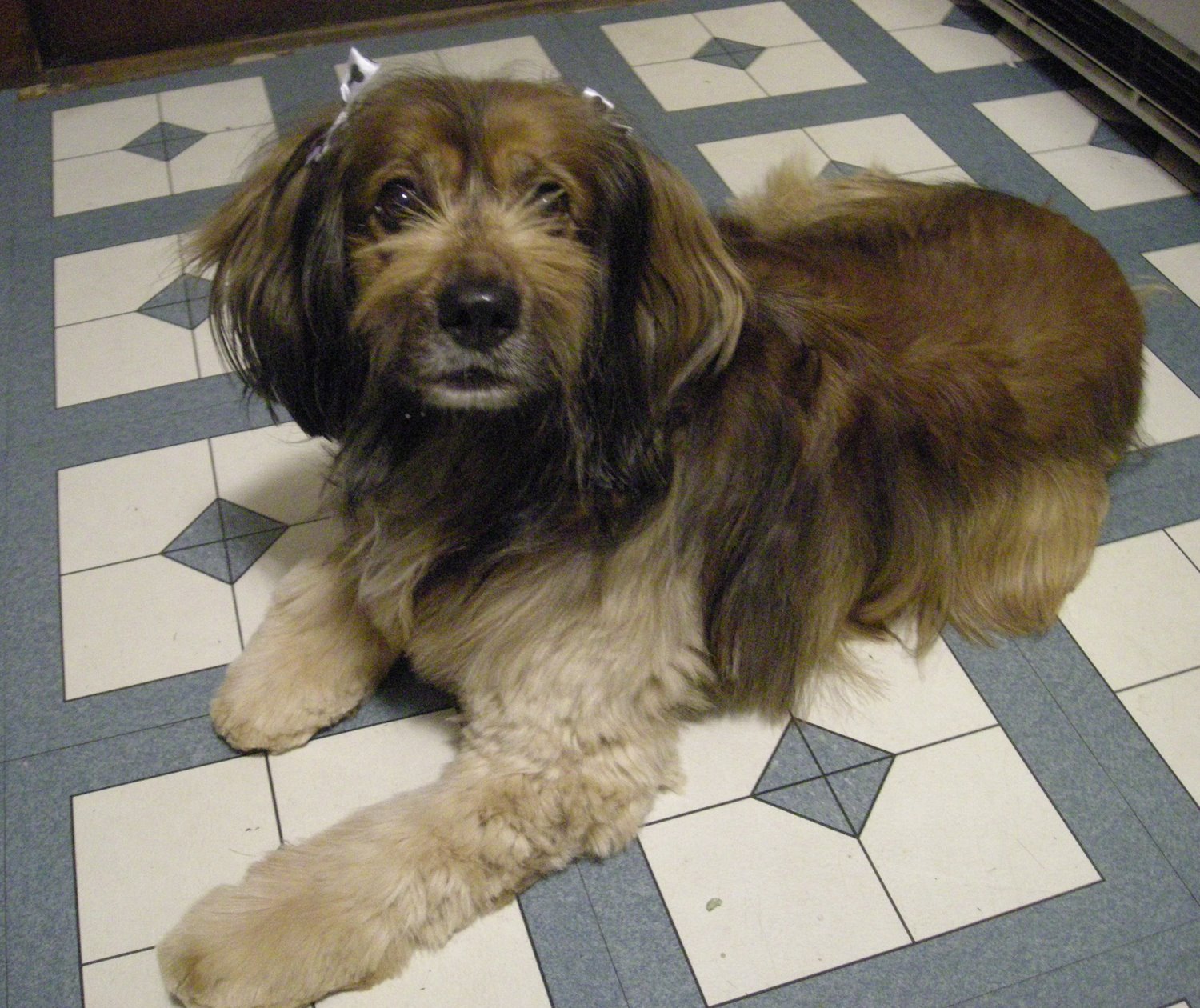 [kelly+after3+sm.jpg]