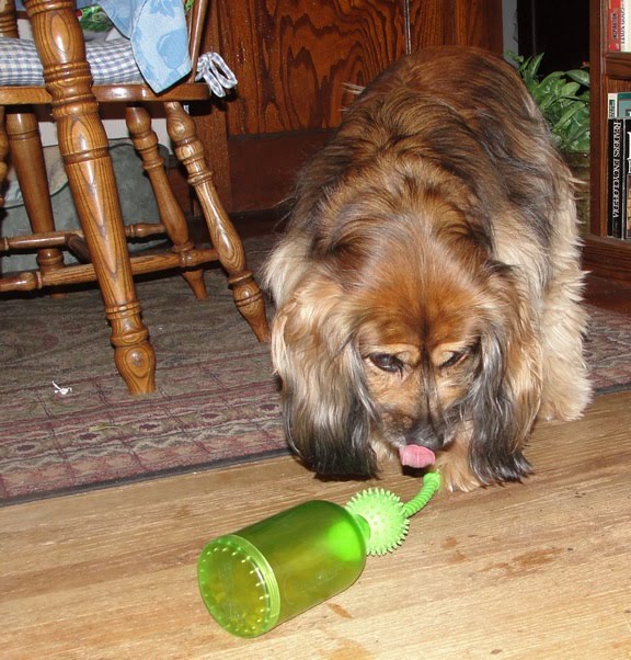 [kelly+with+tug+a+jug.jpg]