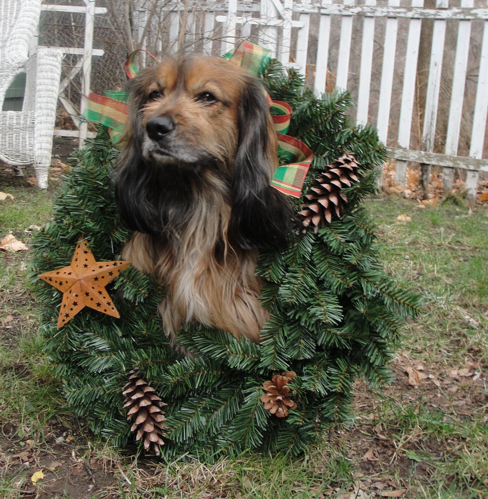 [kelly+with+wreath.jpg]