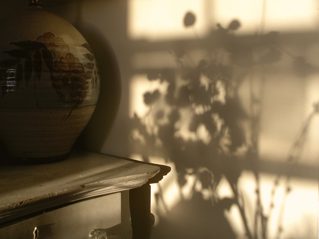 [love+shadows+02.jpg]