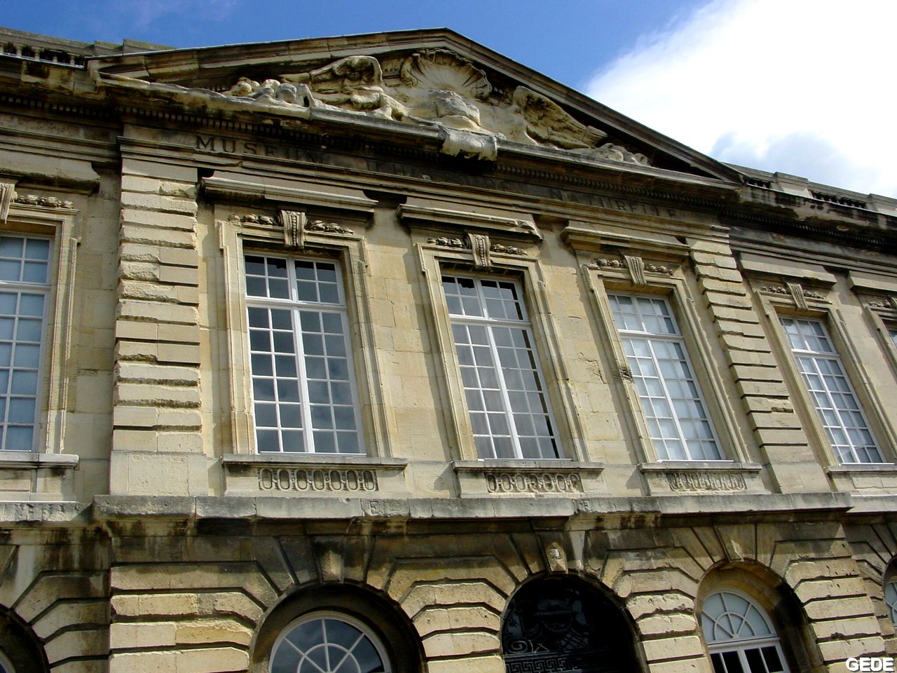 Muséum dHistoire Naturelle Nice Ce quil faut savoir TripAdvisor