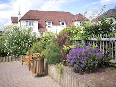 Hillside Community garden
