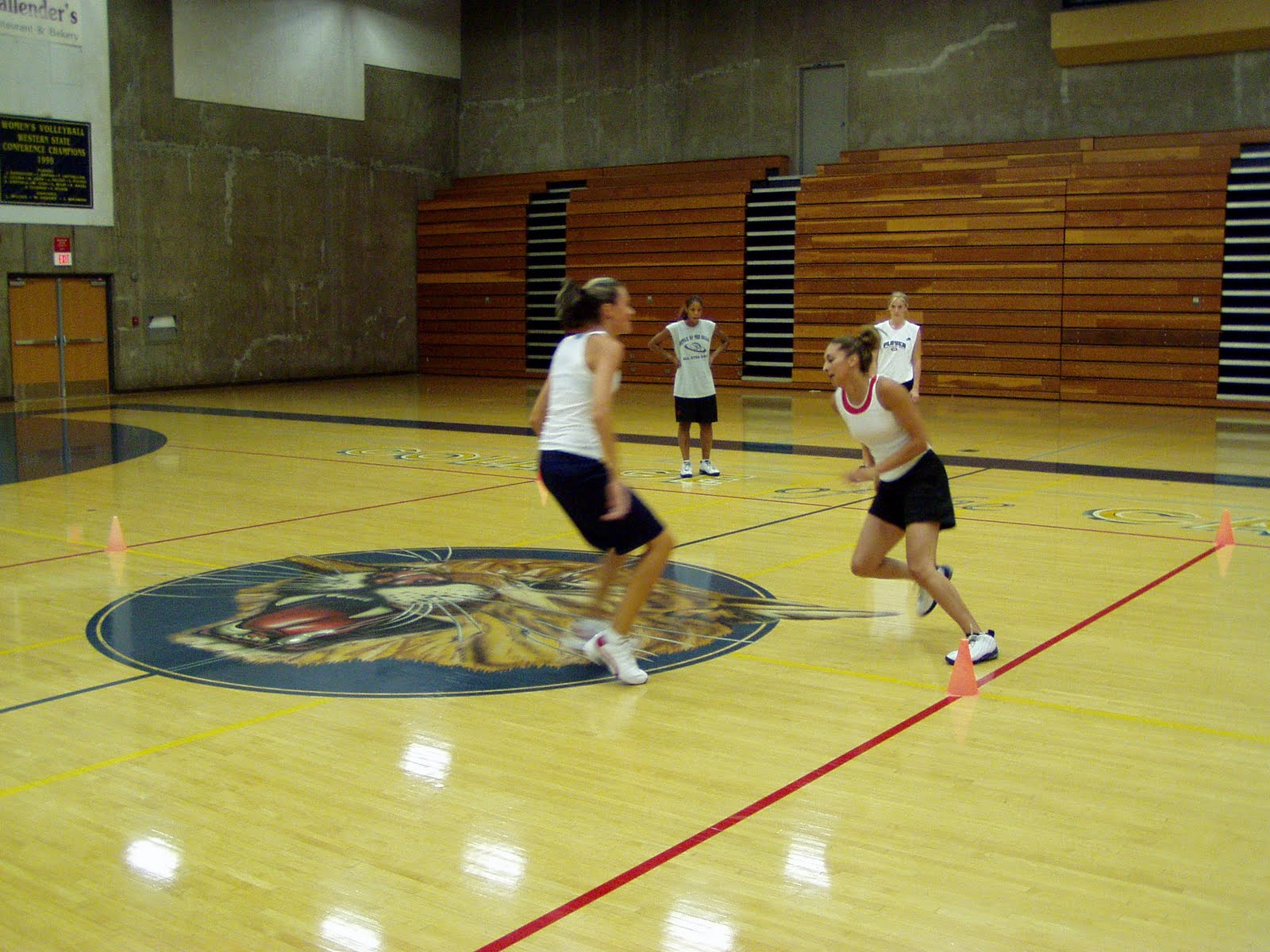 [MIRROR+CHAOS+BBALL.JPG]