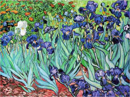 My Painting Room: following Van Gogh's irises