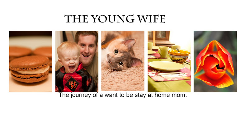 The Young Wife