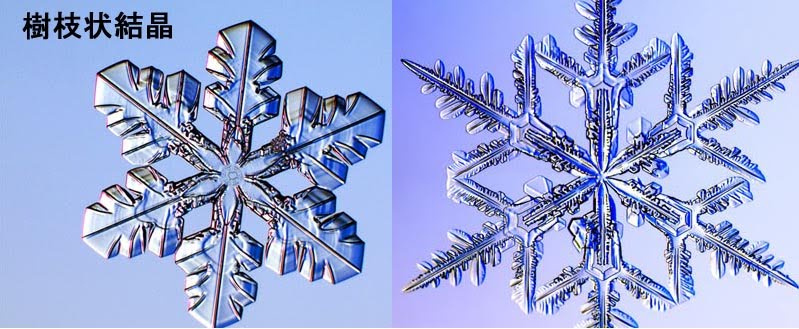 [snow.jpg]