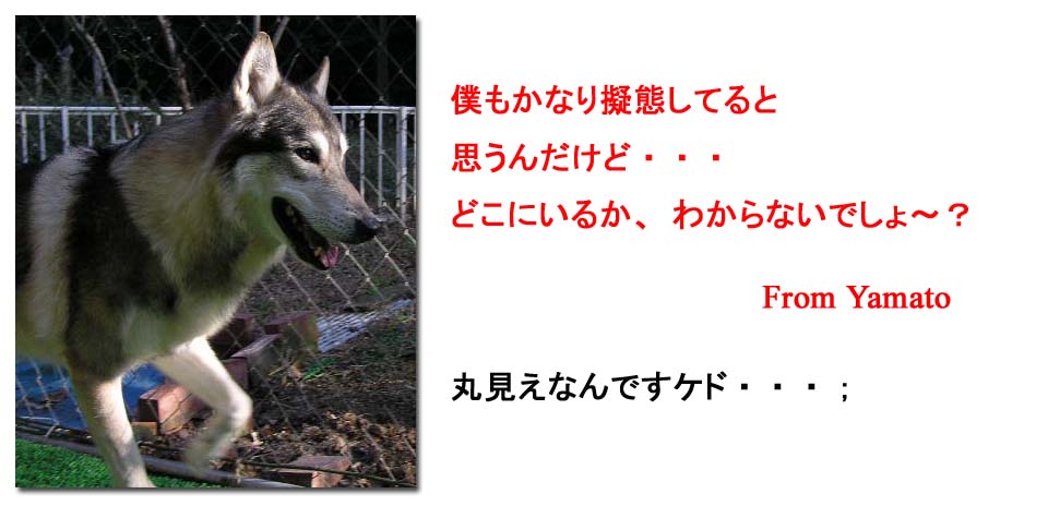 [107_3.jpg]