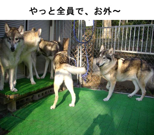 [219_1.jpg]