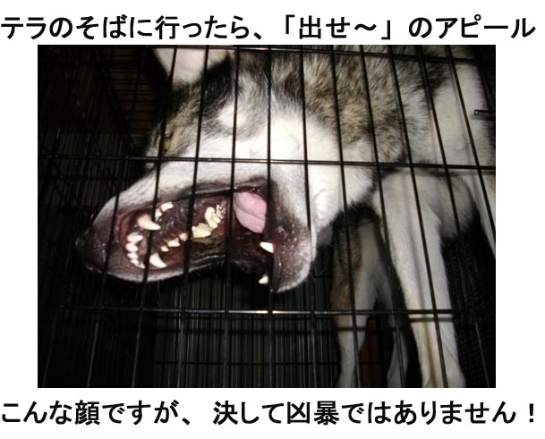 [213_2.jpg]